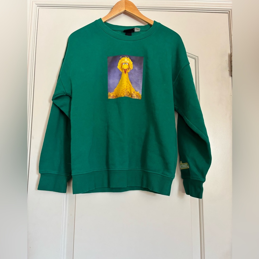 H&M Vintage Women’s Size XS Green Oversized Sweatshirt with Big Bird Graphic